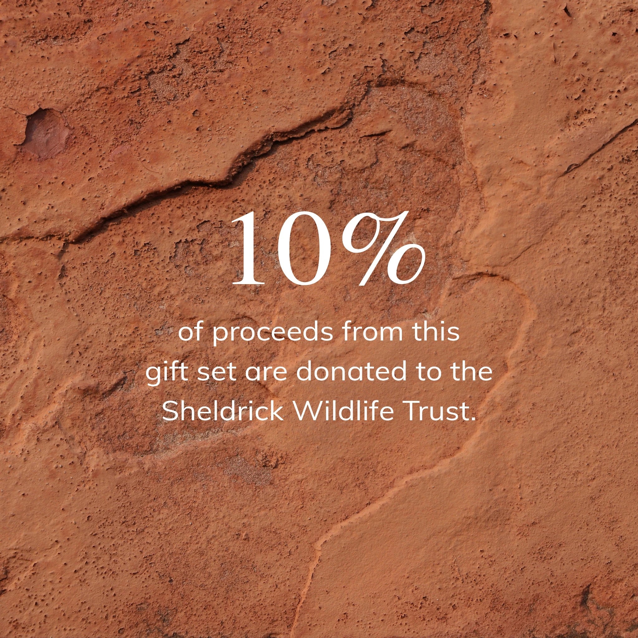 10% of proceeds from this Tea Lab gift set are donated to the Sheldrick Wildlife Trust, supporting ethical and sustainable gifting.