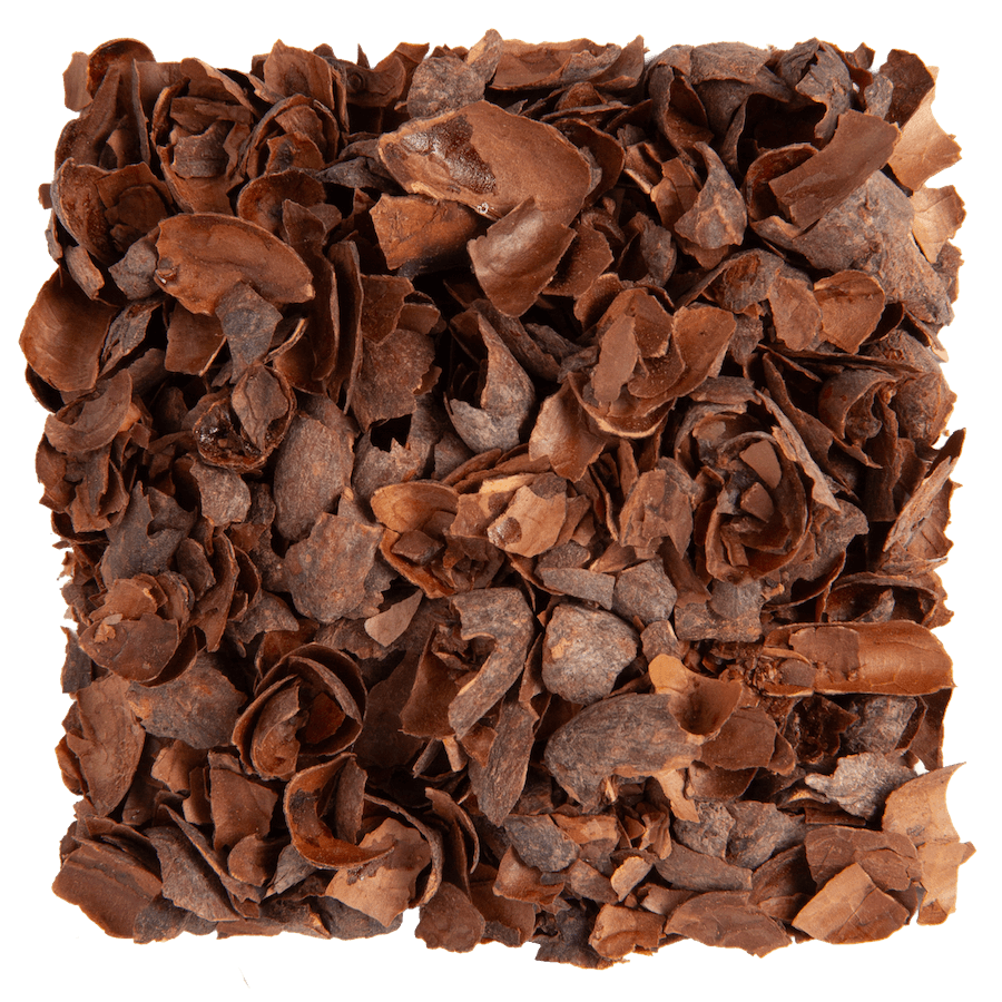 pure cacao loose leaf tea